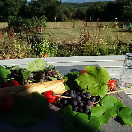 Charming Holiday With Swimming Pool In Teilhet Dom wakacyjny Saint-Éloy-les-Mines